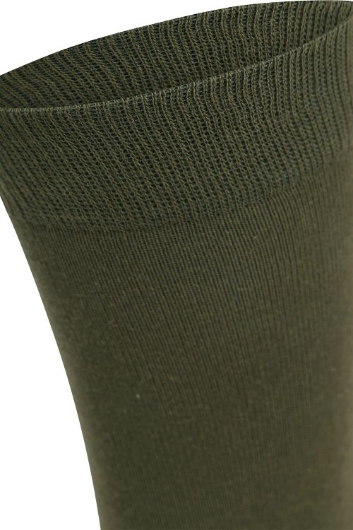 Product / Detail