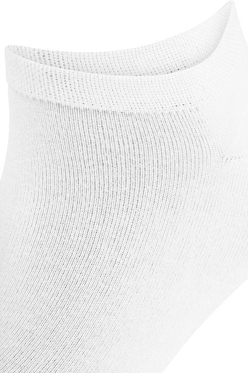 Product / Detail