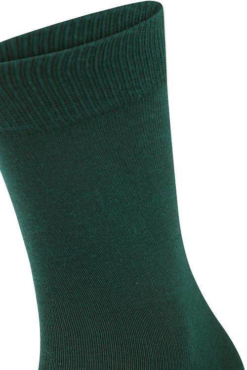 Product / Detail