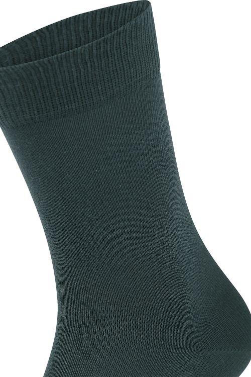 Product / Detail