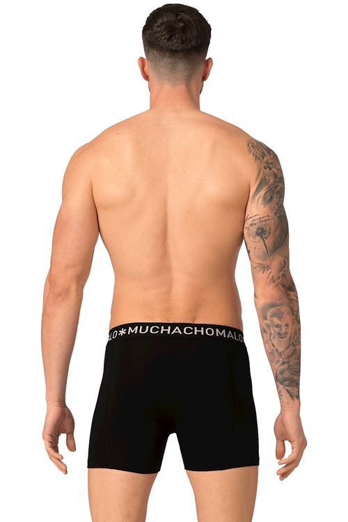Model / Achterkant