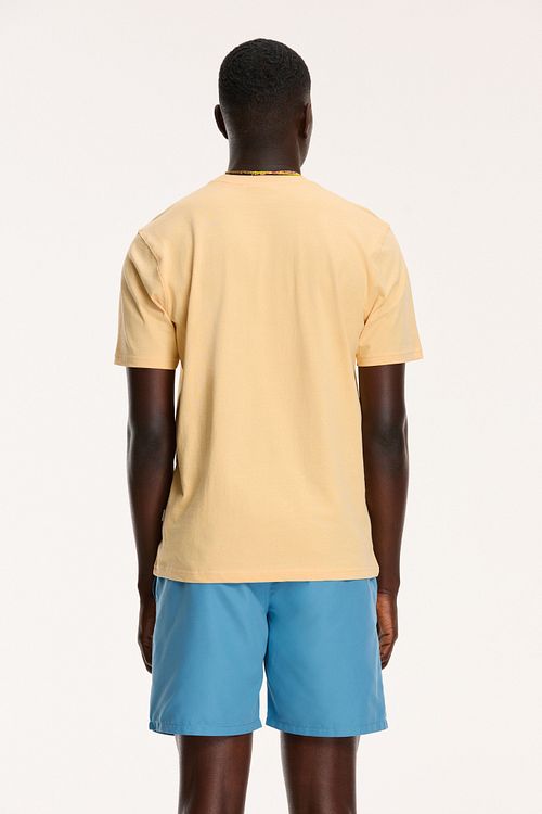Model / Achterkant