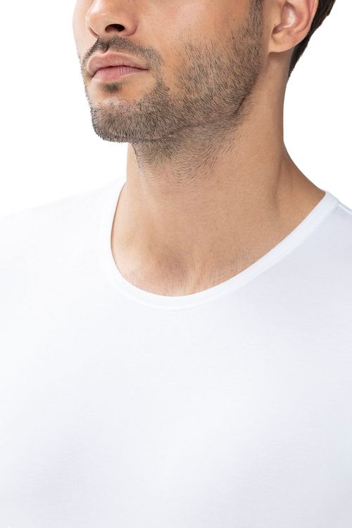 Model / Detail