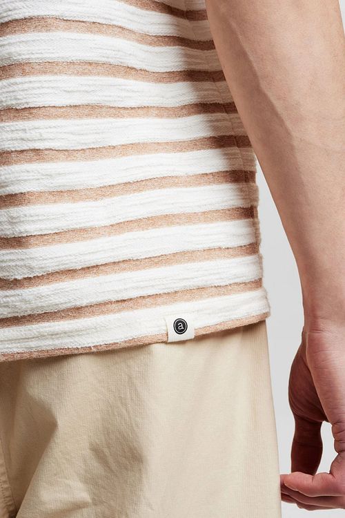 Model / Detail