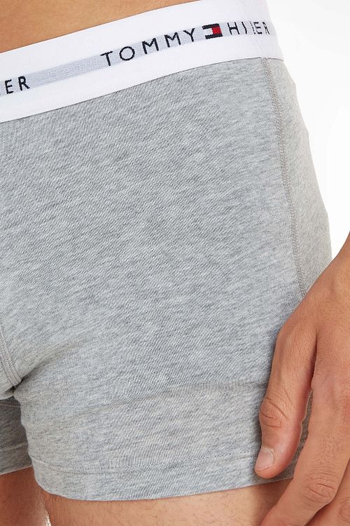 Model / Detail