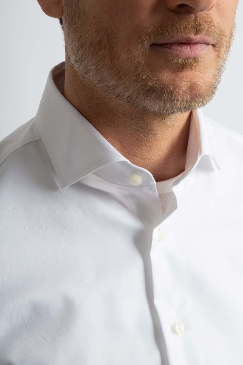 Model / Detail