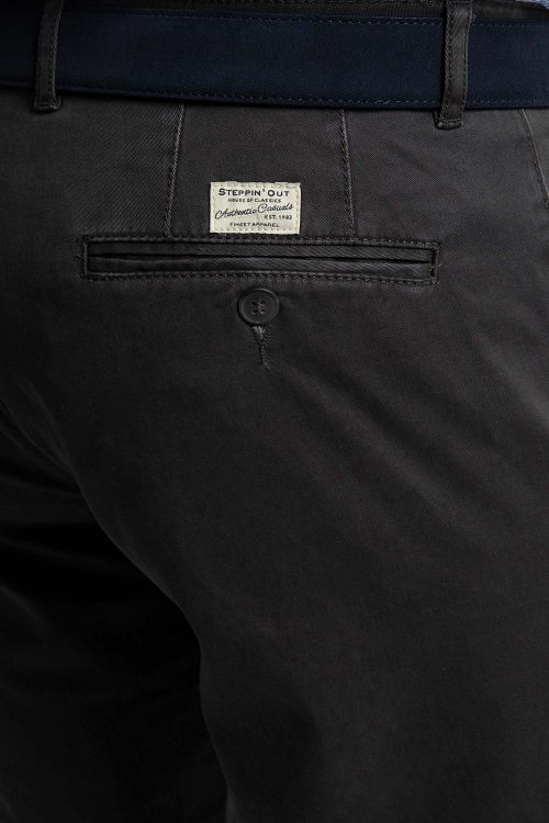 Model / Detail