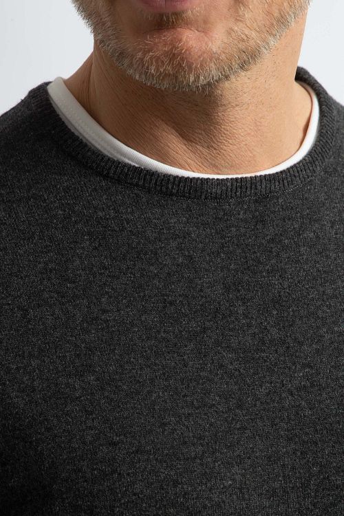 Model / Detail