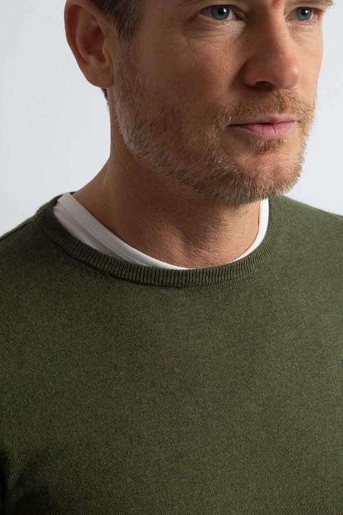Model / Detail