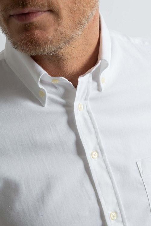 Model / Detail
