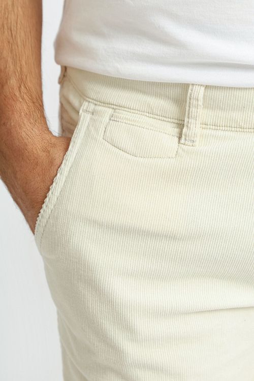 Model / Detail