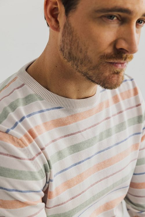 Model / Detail