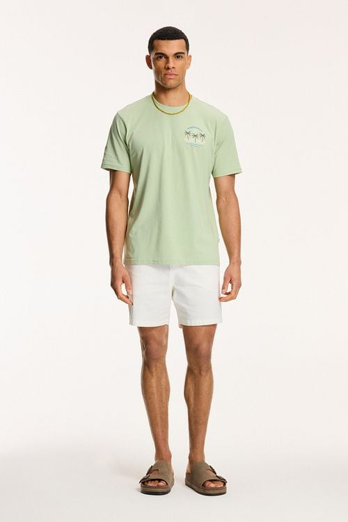 Shiwi T-Shirt Antigua Port Dust Green Model / Voorkant