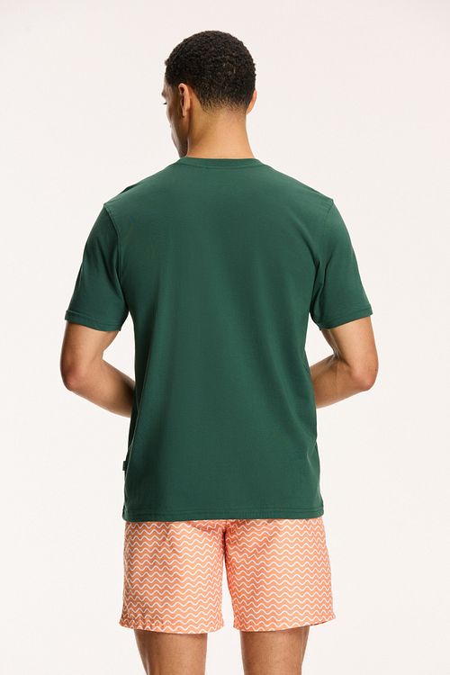 Shiwi T-Shirt Sardines Cilantro Green Model / Achterkant