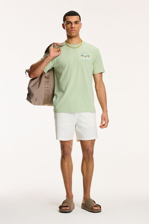 Shiwi T-Shirt Antigua Port Dust Green Model / Voorkant