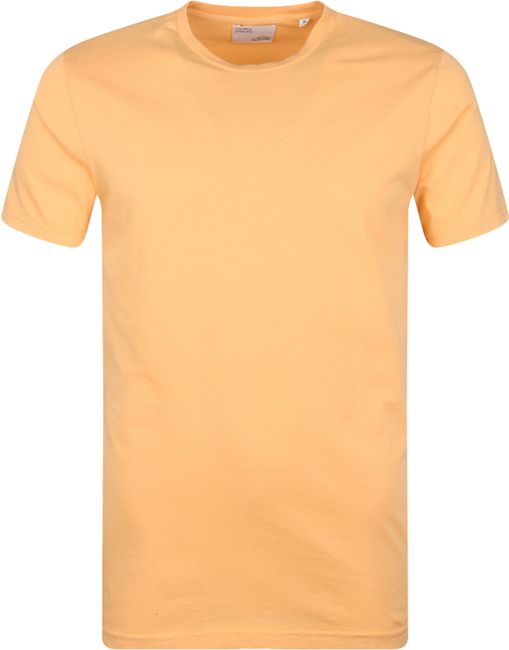 Vooravond Immigratie van Colorful Standard Organisch T-shirt Licht Oranje CS1001-Sandstone Orange  online bestellen | Suitable