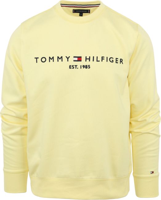 Tommy Hilfiger Sweater Logo MW0MW11596ZHG order online