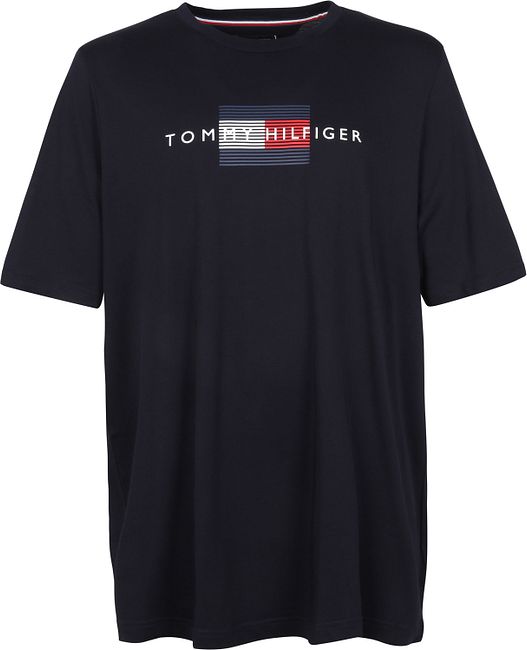 tommy hilfiger 4xl t shirts