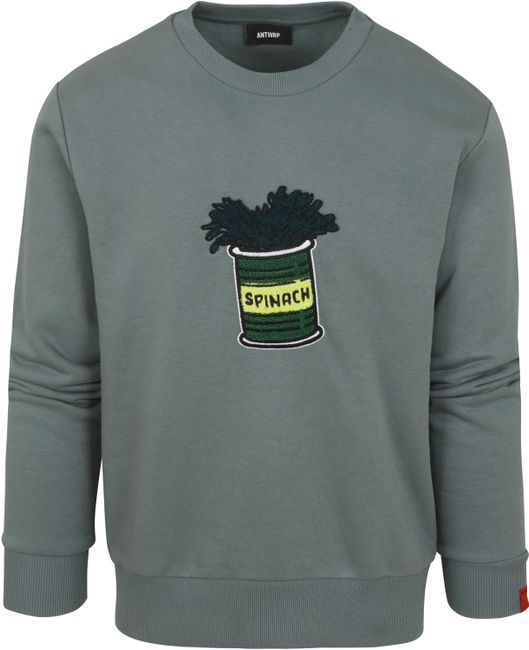 Misbruik helaas Meerdere ANTWRP Sweater Spinazie Groen BSW157-L008 Washed Green online bestellen |  Suitable
