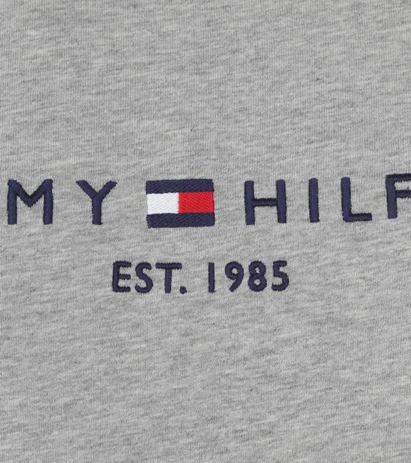 Skov Spiller skak nød Tommy Hilfiger Logo T Shirt Grey MW0MW11465-501 order online | Suitable