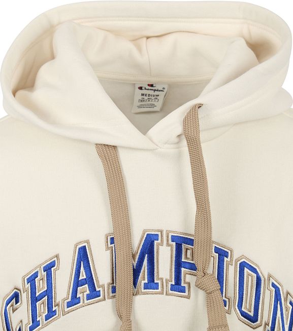 Champion hoodie clearance big letters