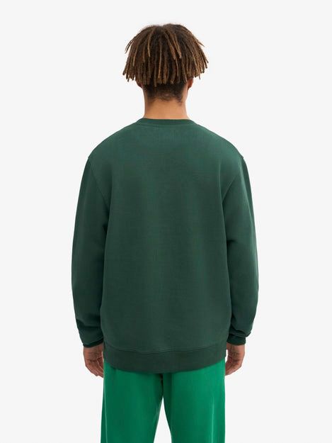 Colorful Standard Sweater Organic Grün - Größe XL günstig online kaufen