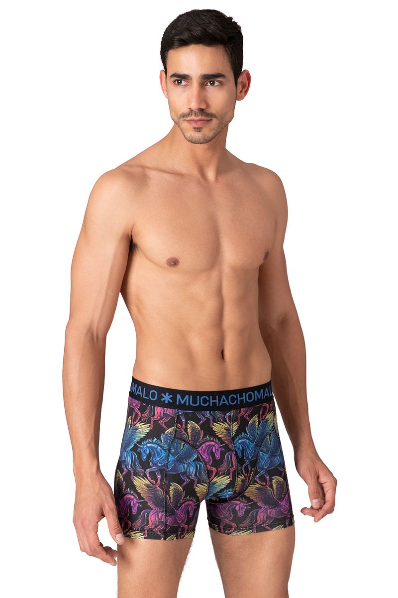 Muchachomalo Boxershorts 12-Pack Golden Special