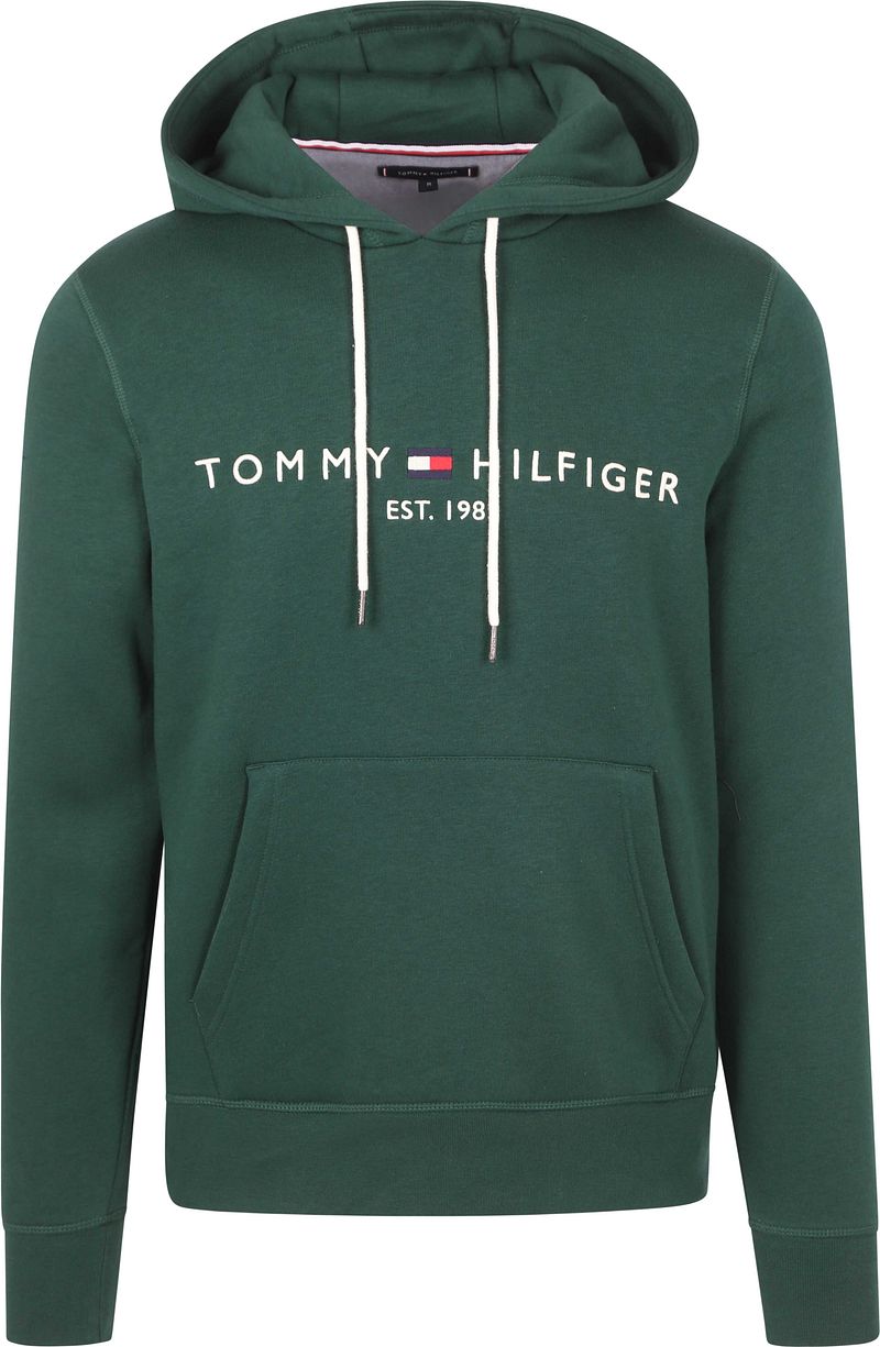 Tommy Hilfiger Hoodie TOMMY LOGO HOODY met geborduurd th-inscriptie op de borst