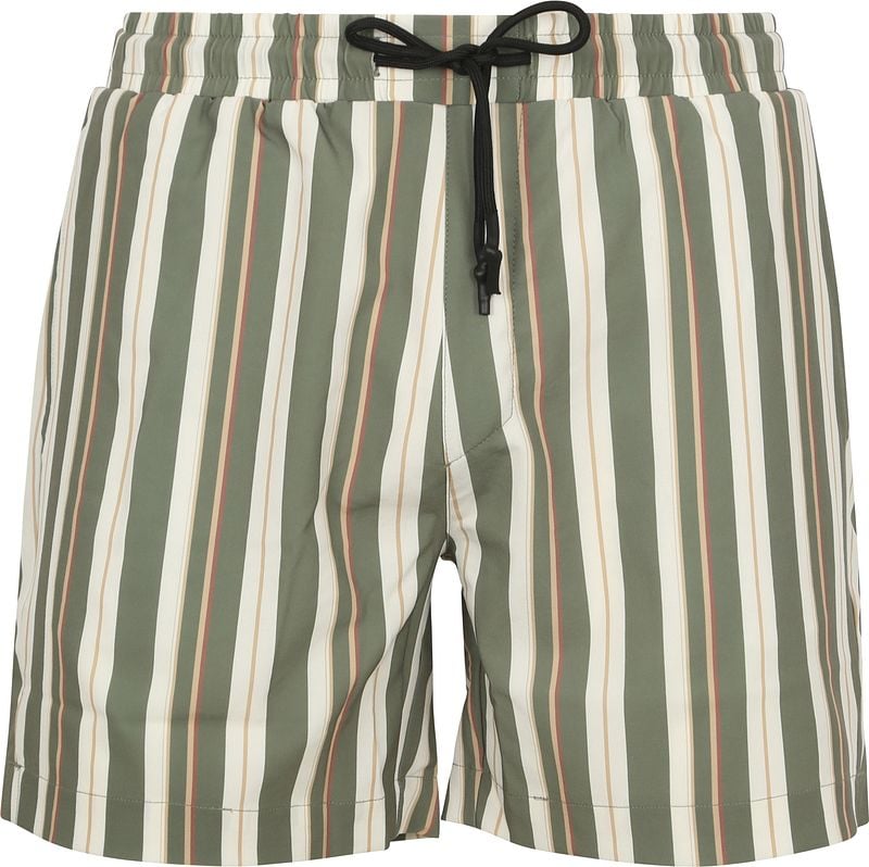 ANERKJENDT Heren Zwembroeken Akshark Aop Swimshorts Olijf