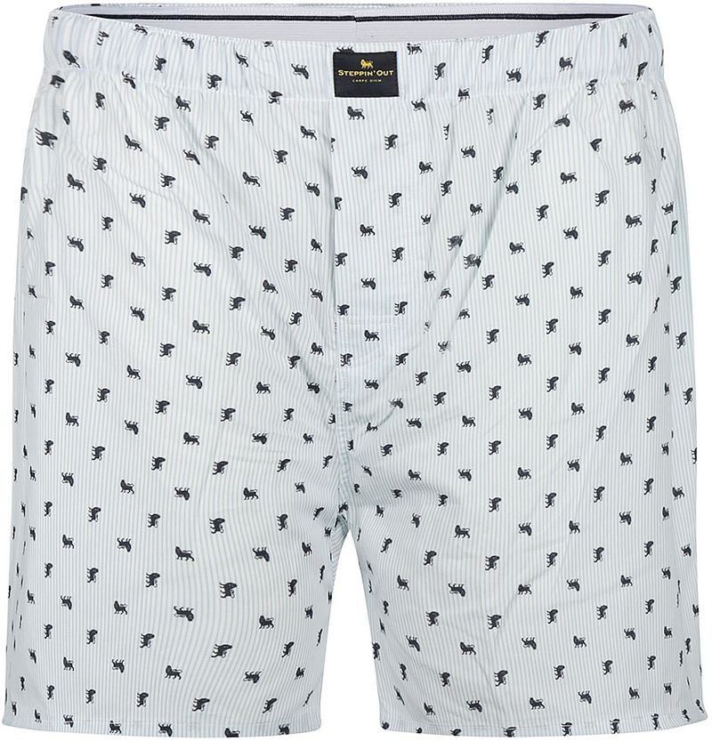 Steppin' Out Boxershort Print Lichtblauw