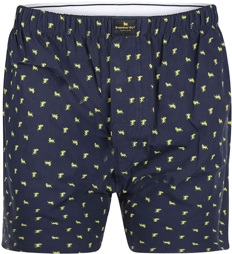 Steppin' Out Boxershort Poplin Print Navy