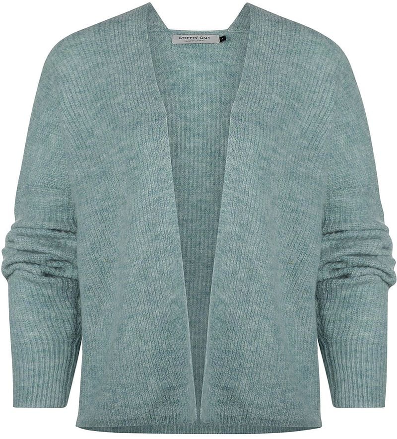 Steppin' Out Vest Veerle Dames Lichtblauw