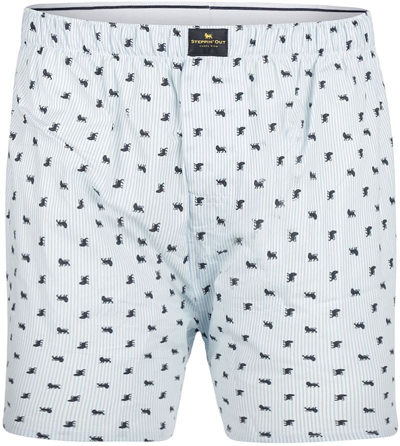 Steppin' Out Boxershort Poplin Print Lichtblauw