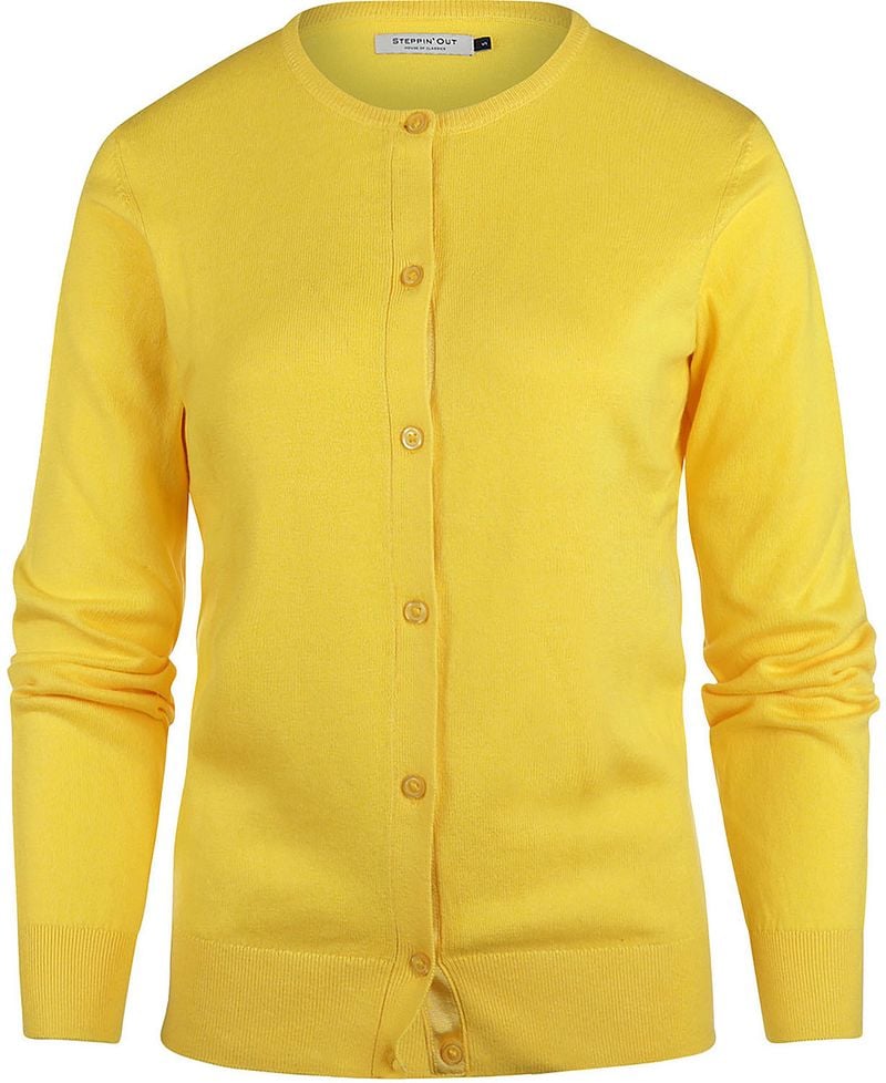 Steppin' Out Vest Cashmere Dames Geel