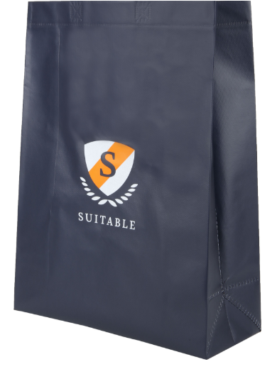 Suitable Tasche
