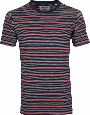 Anerkjendt T-shirt Earth Stripe