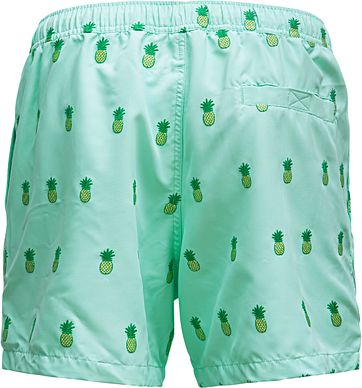 Bjorn Borg Santiago Zwembroek Mint