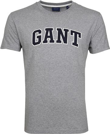 Gant T-shirt Graphic Grau