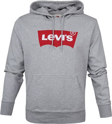 Levi's Graphic Hoodie Grijs