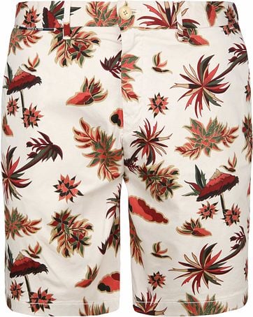 Scotch and Soda Short Insel Design