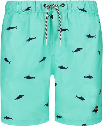 Shiwi Mako Zwembroek Turquoise shiwi kopen in de aanbieding
