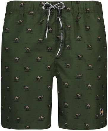 shiwi swim shorts