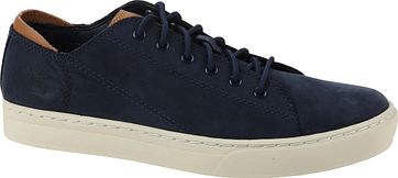 Timberland Cupsole Sneaker Blau